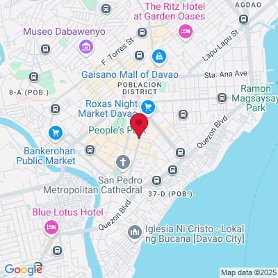 Google Maps static image